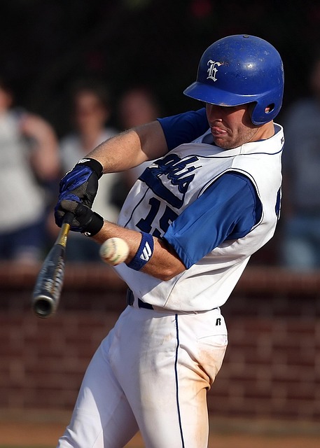 勇敢的黄蜂 勇敢的黄蜂