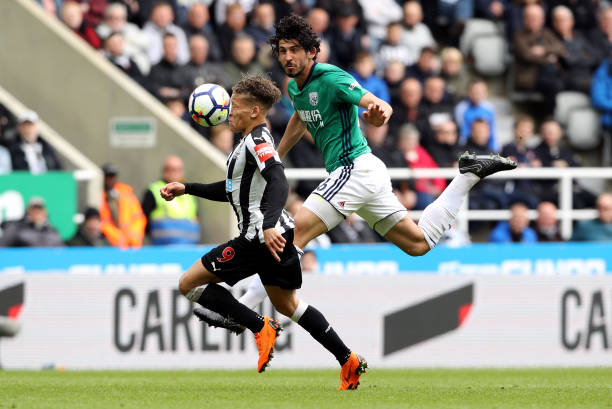 球迷行为对 球迷行为对